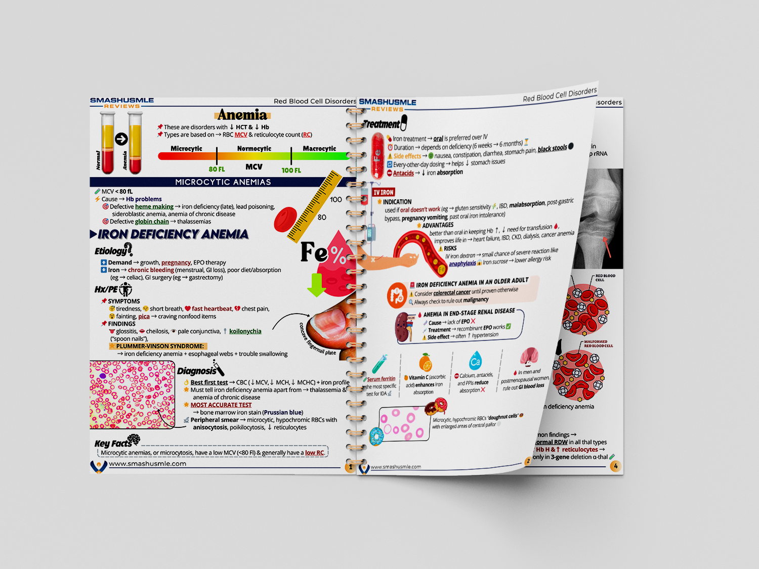 hematology page books
